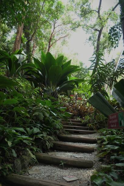 istock Road to Garden 1018272040