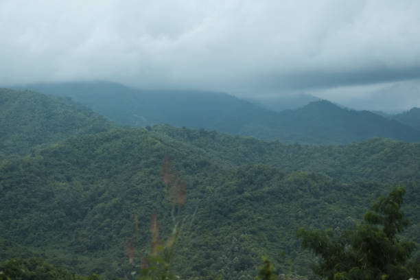 istock Misty mountains and beautiful trees. 1018272448