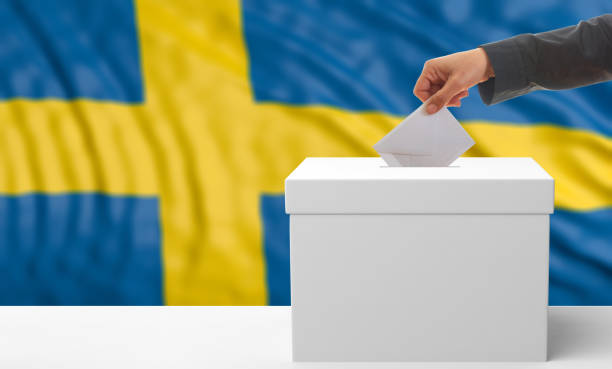 istock Voter on a Sweden flag background. 3d illustration 1018272450