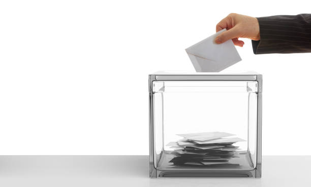 istock Voter on white background. 3d illustration 1018272502