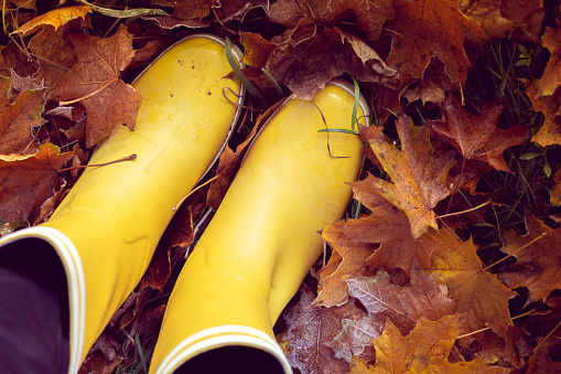 autumn still life from yellow rubber boots with brown leaves