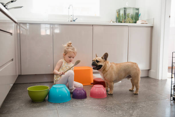istock Little Girl Playing Home-made Drums In The Kitchen 1018277122