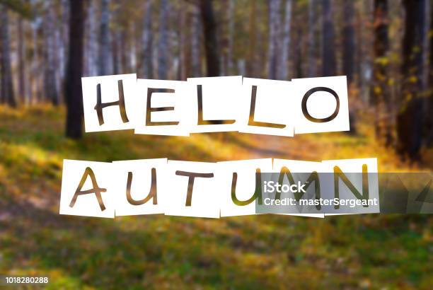 Hello Autumn Text Over Blurred Wild Fall Forest Stock Photo - Download Image Now - Autumn, Birch Tree, Blogging