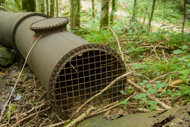 istock Old rusty pipe in  forest, in Vosges France 1018282258
