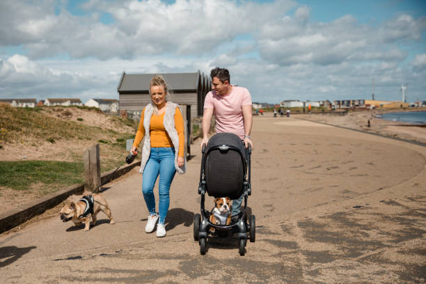 istock Couple Walking Their Dogs Next To The Beach 1018282354