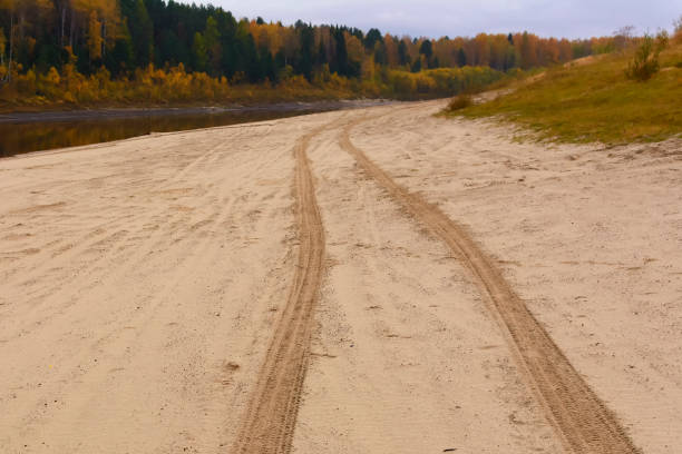 Car tracks on the sand leading away. Autumn landscape with river