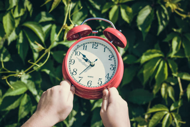 istock Alarm clock in hands of child 1018287734