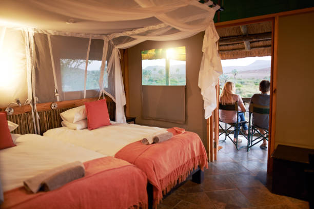 istock The perfect resort for rest and relaxation 1018301914