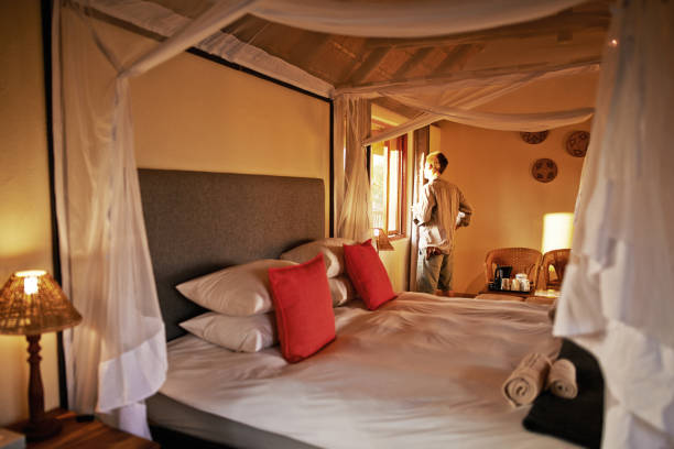 istock Looks like another beautiful day in lodge paradise 1018301974