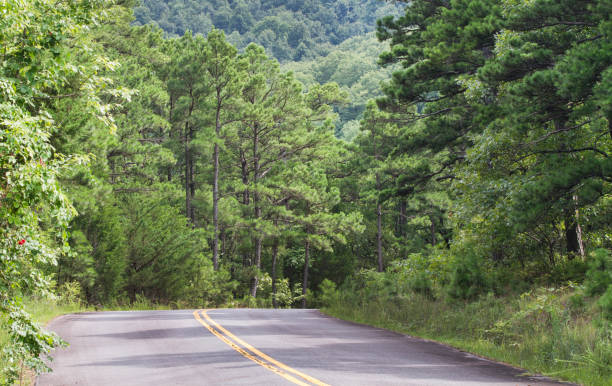 istock Talimena National Scenic Byway curving road through the mountains 1018302122