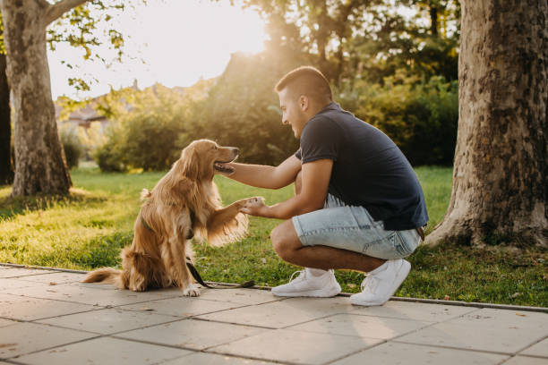 istock Man and his best friend 1018302140