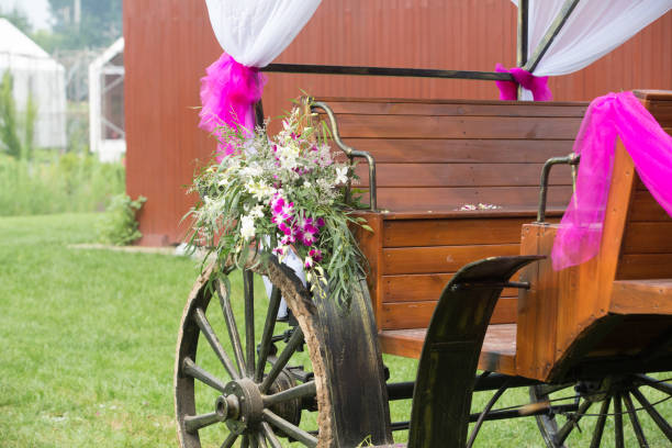 Carrozza a cavallo di matrimonio - foto stock