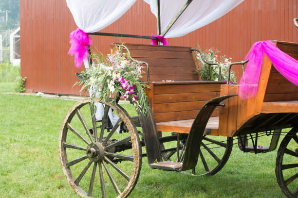 Roda de uma carruagem do casamento no gramado - foto de acervo