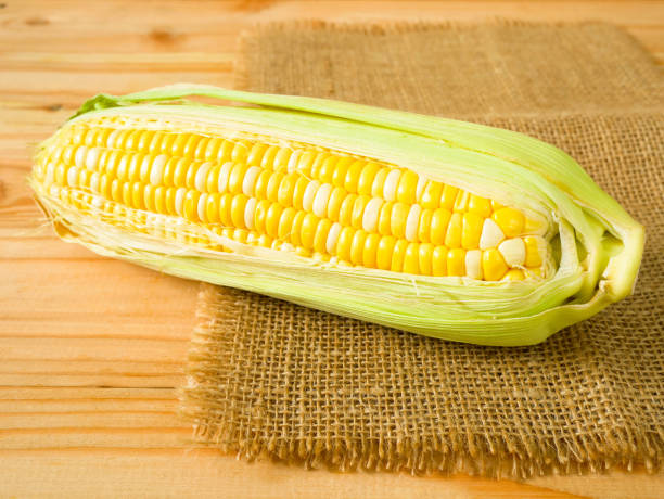 istock Ears of bicolor sweet corn 1018315350