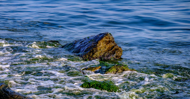 istock Waves and stones on the beach in Istanbul 1018325304