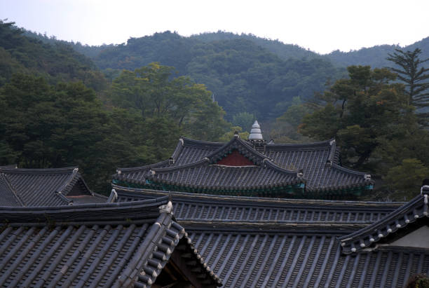 istock Magoksa Buddhist Temple 1018325994