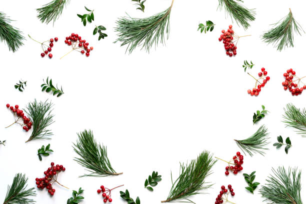 istock Christmas holidays botanical background, flat lay composition 1018327302