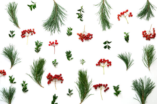 istock Christmas holidays botanical background, flat lay composition 1018327472