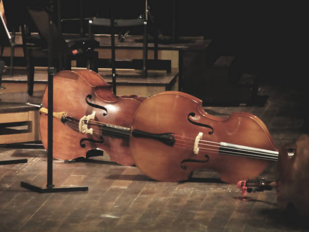 istock Cello music instruments on stage in concert hall 1018335670