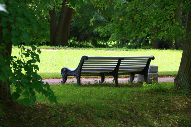 istock bench in the summer green park 1018335738