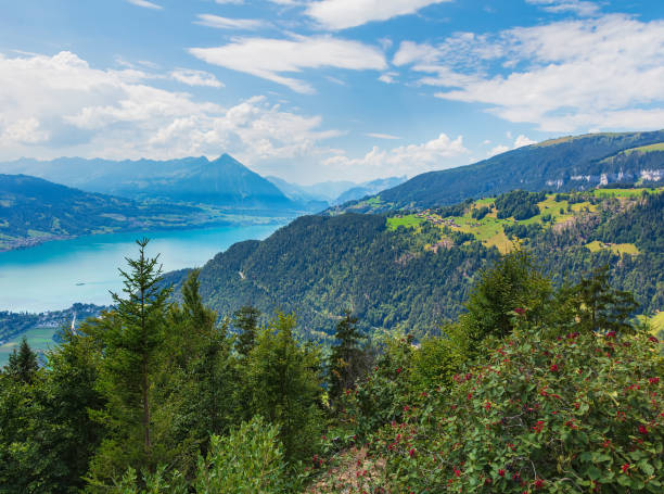istock View from the Harderkulm in Switzerland in summer 1018336726
