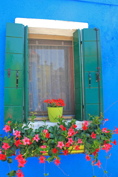 창을 셔터 - venetian lagoon italy flower shutter 뉴스 사진 이미지