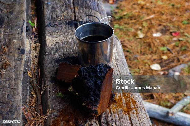 Wild Chaga Mushroom And Tea At A Campsite Stock Photo - Download Image Now