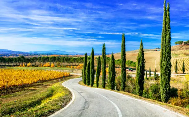Photo of Classic Tuscany landscapes - rolling hills and cypress trees. Italy