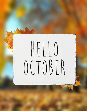 Hola octubre otoño otoño texto de colores en el plato blanco tablero bandera caída hojas desenfoque de fondo photo