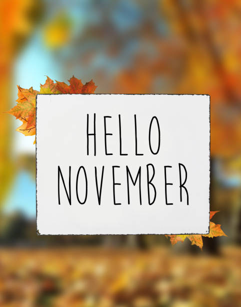 istock Hello November autumn text on white plate board banner fall leaves blur background 1018355562