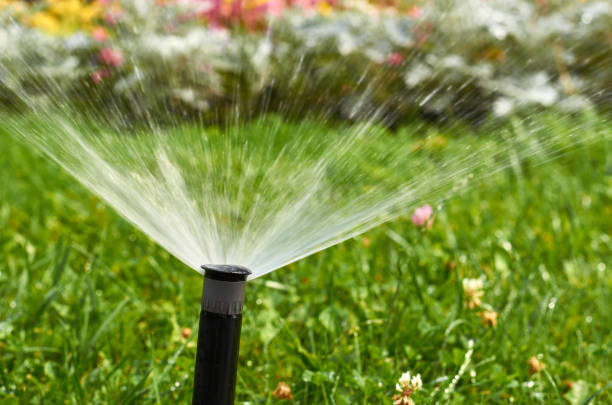 istock Automatic watering system for lawn and flowers in the city park 1018357940