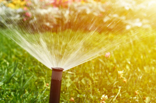 istock Automatic watering system for lawn and flowers in the city park, sunlight effect 1018358046