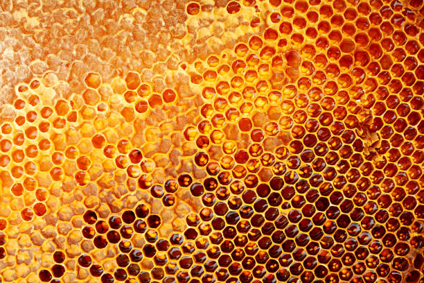 istock Yellow Honeycomb closeup background 1018368380