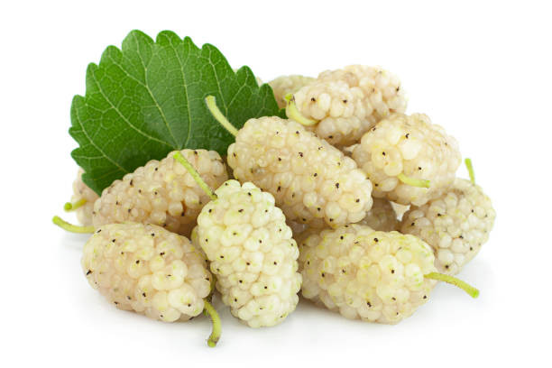 istock White Mulberry berry isolated 1018368492