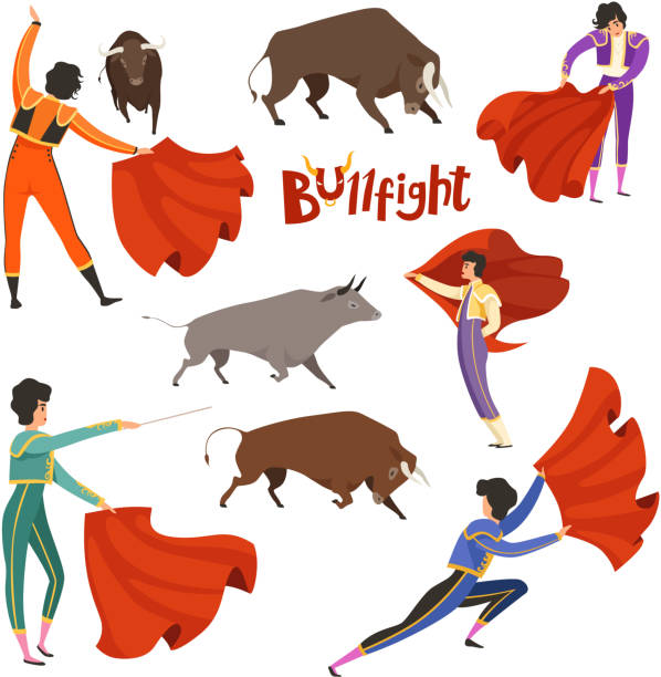 Bullfighting corrida. Vector illustration of matador and bull in various dynamic poses Bullfighting corrida. Vector illustration of matador and bull in various dynamic poses. Bullfight and bullfighting, toreador and bull, corrida performance toro zamora stock illustrations