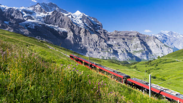 trains suisses à travers les alpes - jungfraujoch photos et images de collection