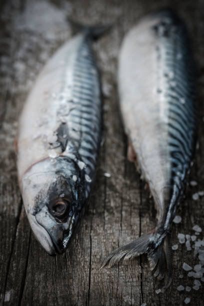 istock Fresh raw fish mackerel on a wooden table. Rustic style 1018378618