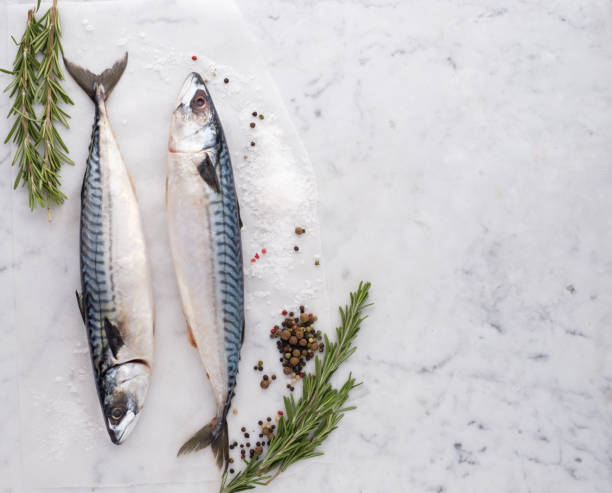 istock Fresh raw mackerel fish on the table with fresh herbs and spices 1018378678