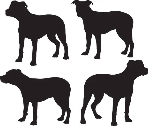 Vector illustration of Pit Bull Silhouettes