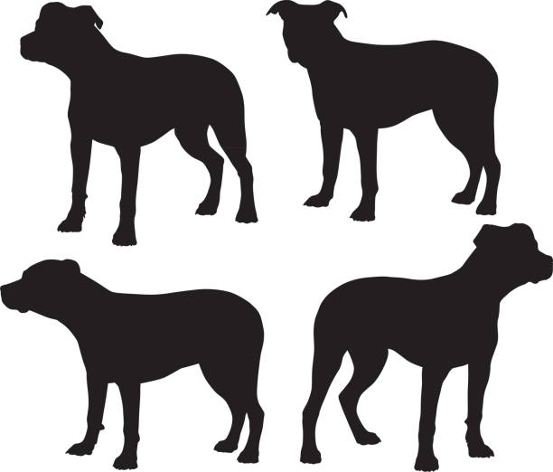 坑公牛剪影 - 比特犬 幅插畫檔、美工圖案、卡通及圖標