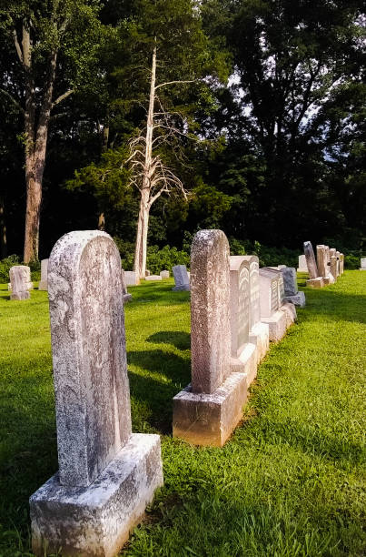istock Old Cemetery with Headstones and Dead Tree 1018383820