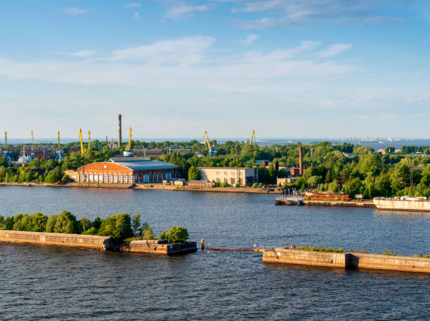 istock Cranes on Kotlin Island, Russia 1018383904