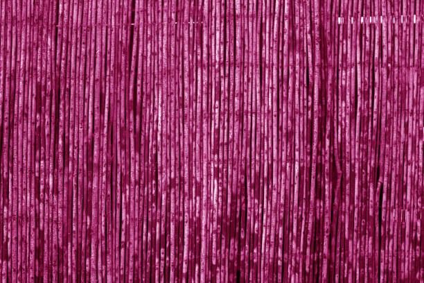 istock Weathered bamboo fence in pink tone. 1018388494