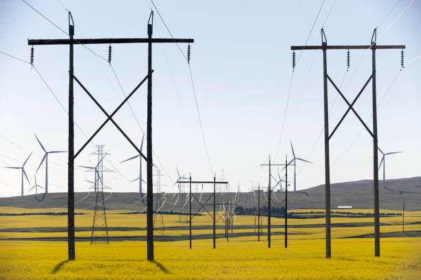 istock Power Supply Tower Electricity Pylon 1018389660