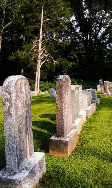 istock Old Cemetery with Headstones and Dead Tree 1018389866