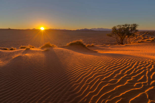istock Sun starburst at sunset and wind swept sand on the dune 1018389904