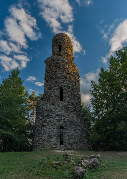 istock Observation tower Krasno in summer evening in Slavkovsky les mountains 1018400812
