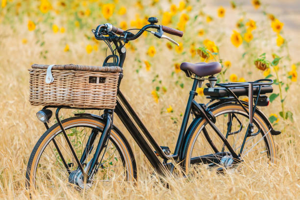 niederländische elektrische schwarze cargo fahrrad mit korb - sunflower field scenics landscape stock-fotos und bilder