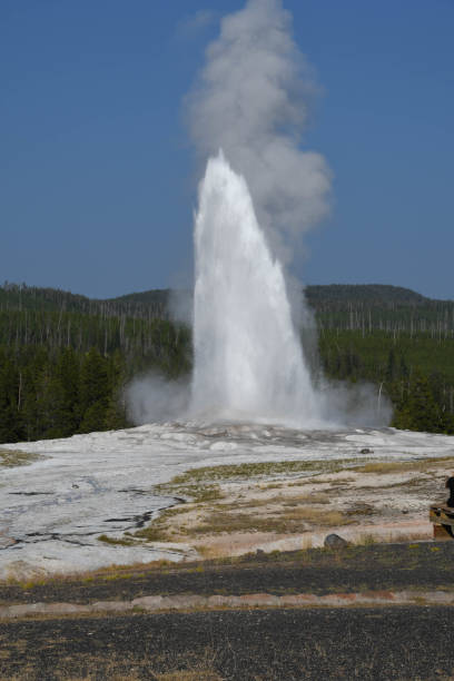 istock Old Faithful geyser mid eruption 1018404508