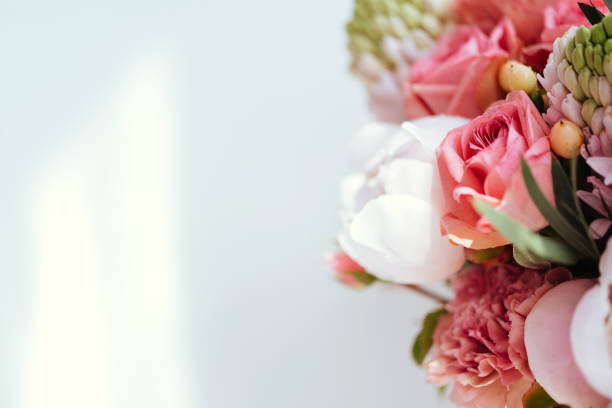 beautiful blossoming flowers. - flower head bouquet built structure carnation imagens e fotografias de stock